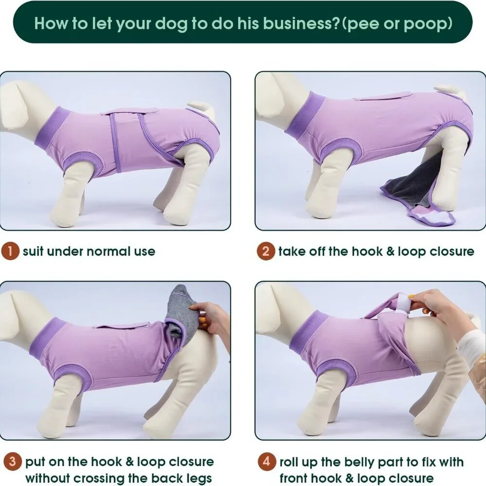 Dog Surgery Suit Female Spay, Puppy Recovery Suit Male Neuter
